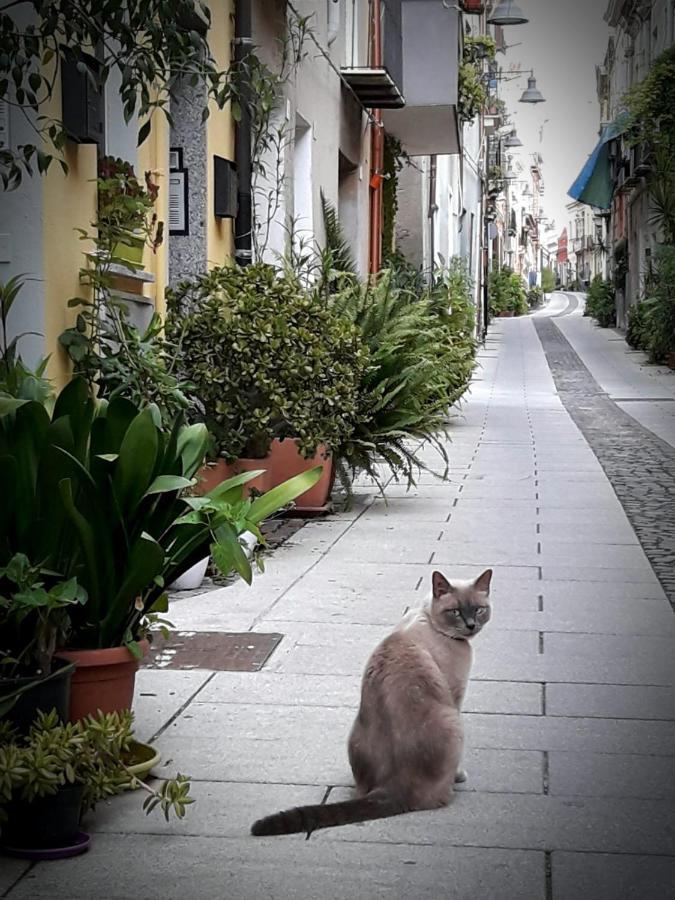 Via San Giacomo 10 Cagliari Luaran gambar